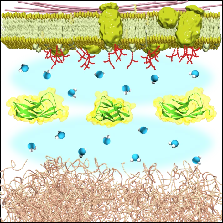 Image of Soft Materials Chemistry