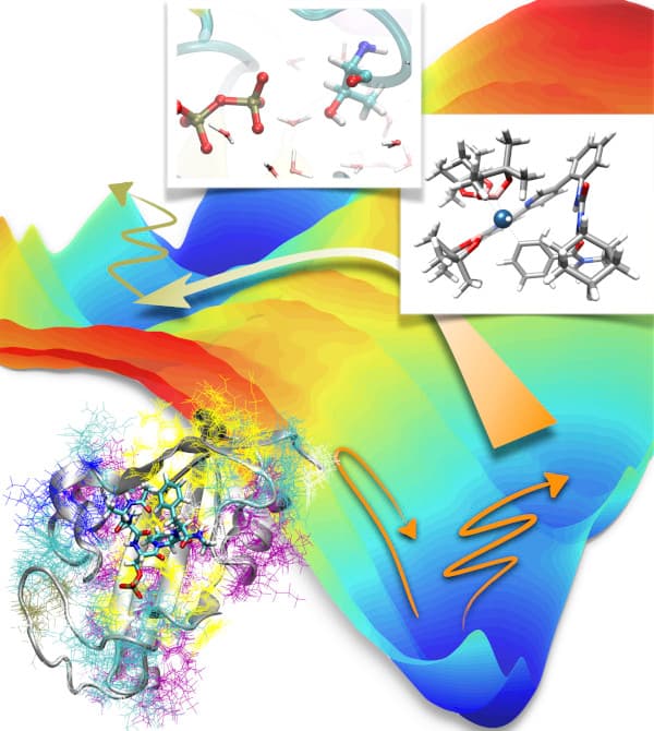 Image of Theoretical Molecular Science