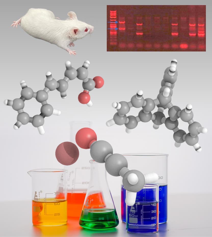 Image of Advanced Organic Synthesis