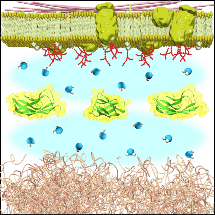 Image of Soft Materials Chemistry