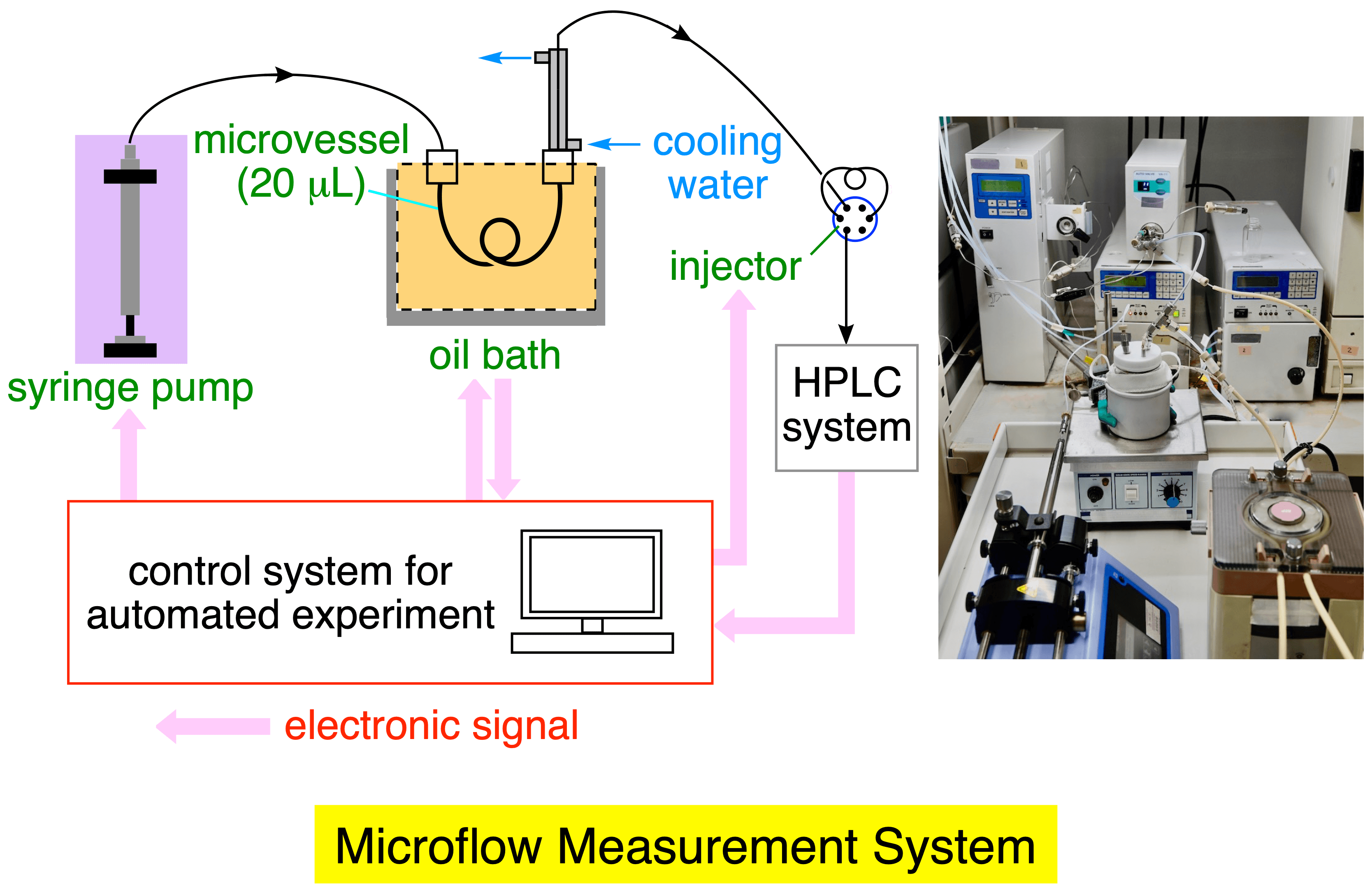 Development of a microflow system for automated analysis of the dynamic stereochemical behavior of organic molecules.