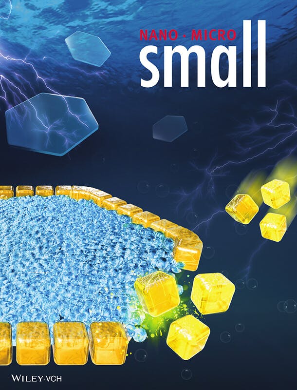 Cover Image for Research results from the International Core Lab Collaboration are featured on the front cover of Small