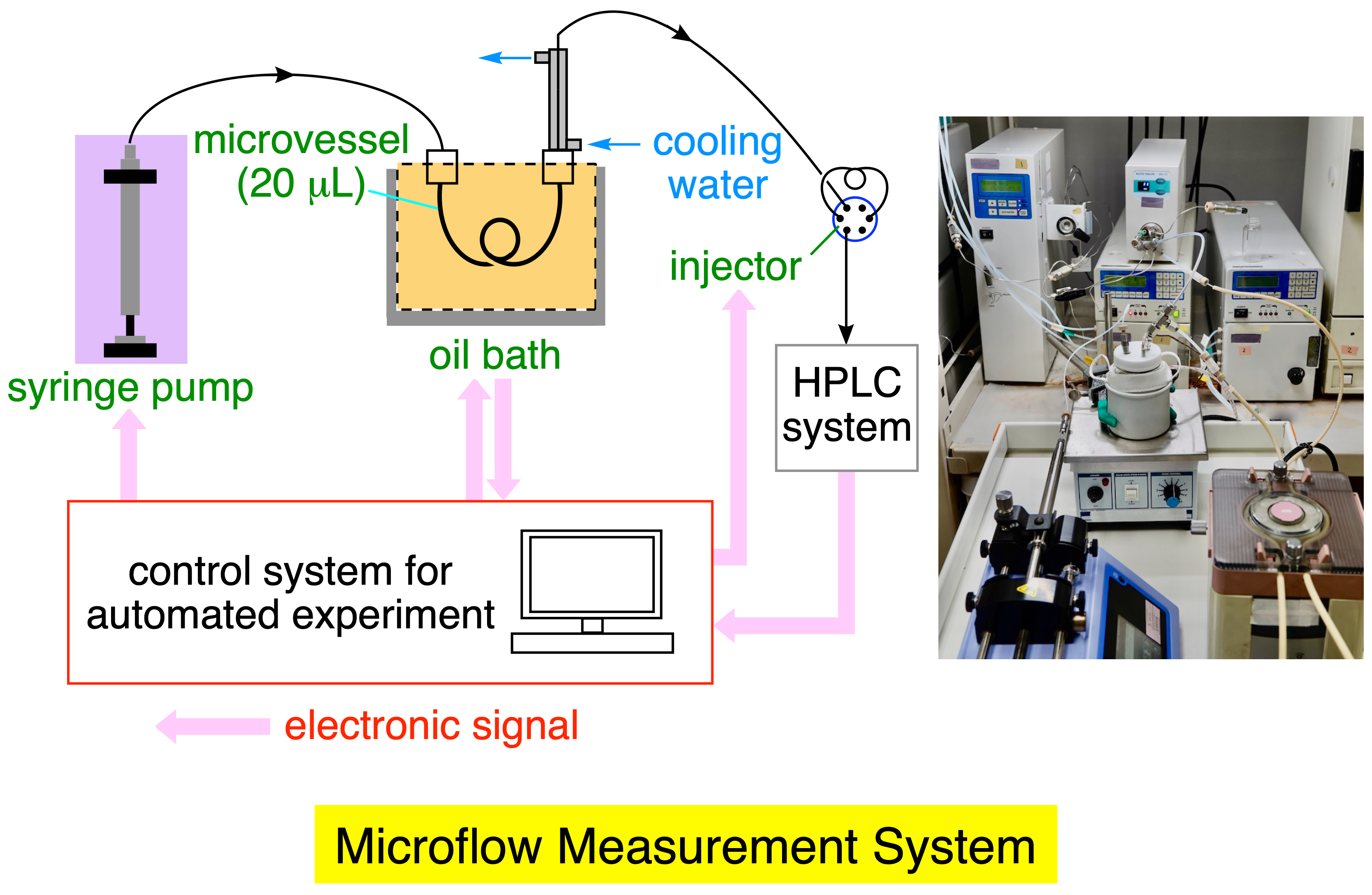 Cover Image for Development of a microflow system for automated analysis of the dynamic stereochemical behavior of organic molecules.
