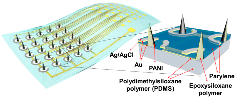 Success in Development of Flexible Microneedle pH Sensor with Excellent Biocompatibility