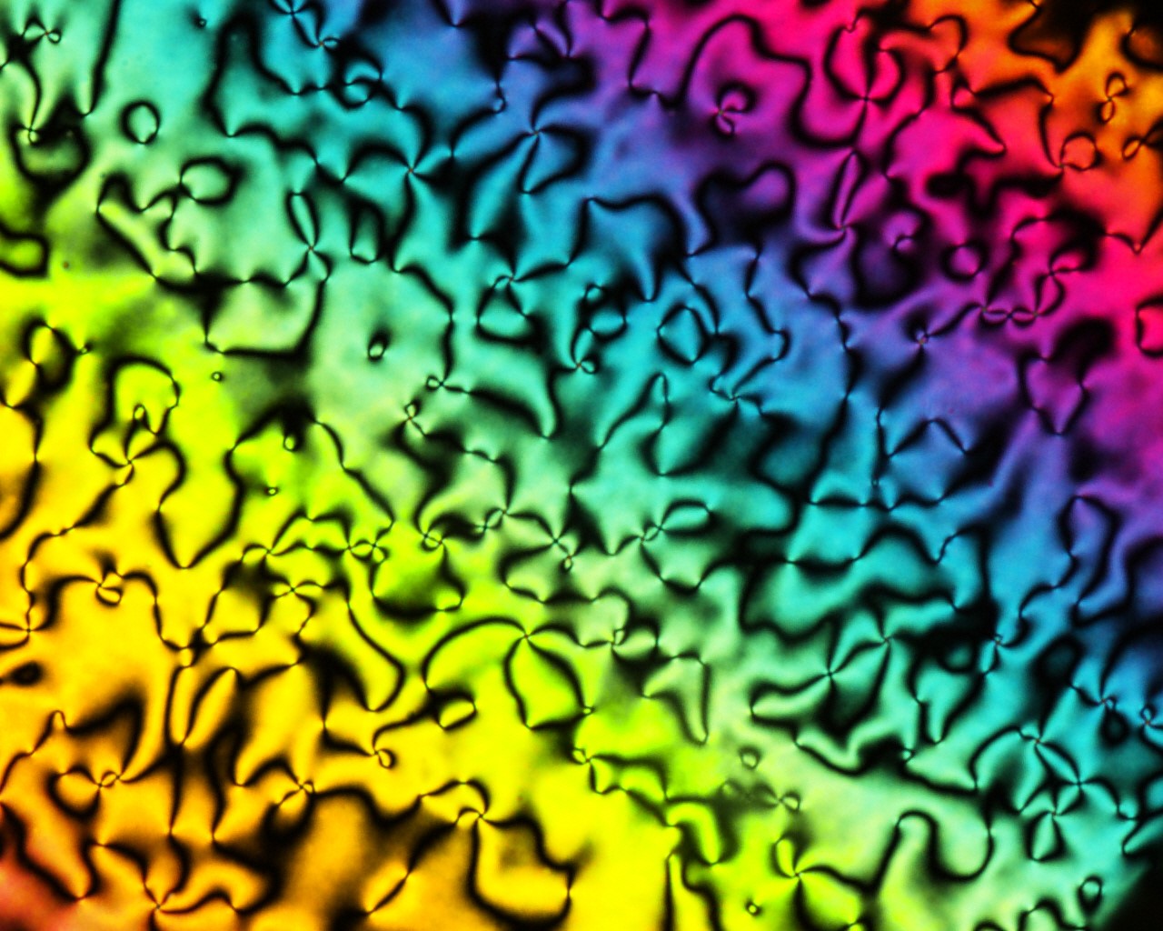 Hero Image 3 - Kikuchi Lab