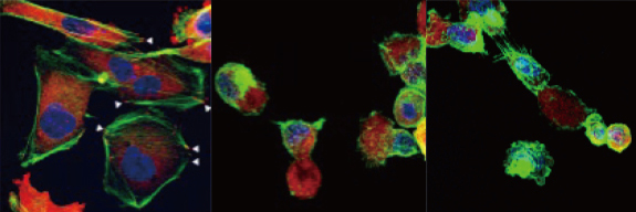 Hero Image 5 - Soft Materials