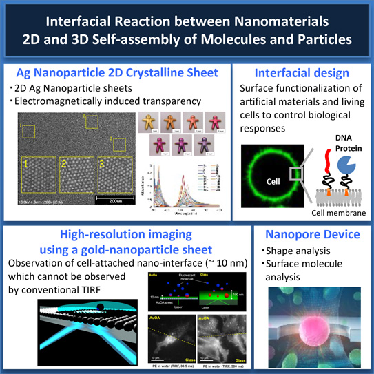 Nanomaterials and Interfaces research