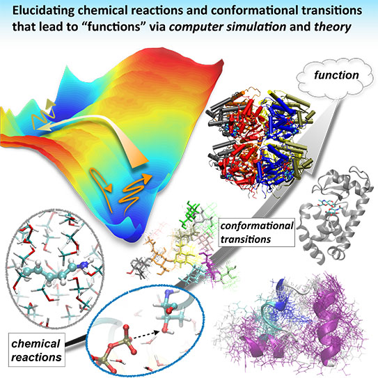 Theoretical Molecular Science research