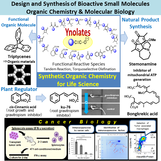 Advanced Organic Synthesis research