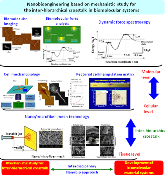 Biomedical and Biophysical Chemistry research
