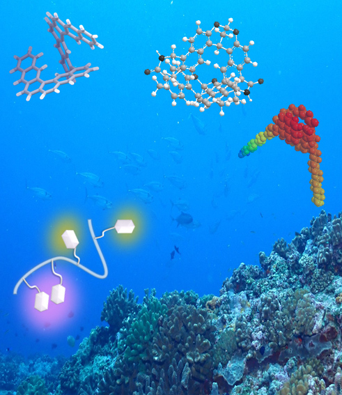 Image of Interdisciplinary Chemistry of Functional Materials