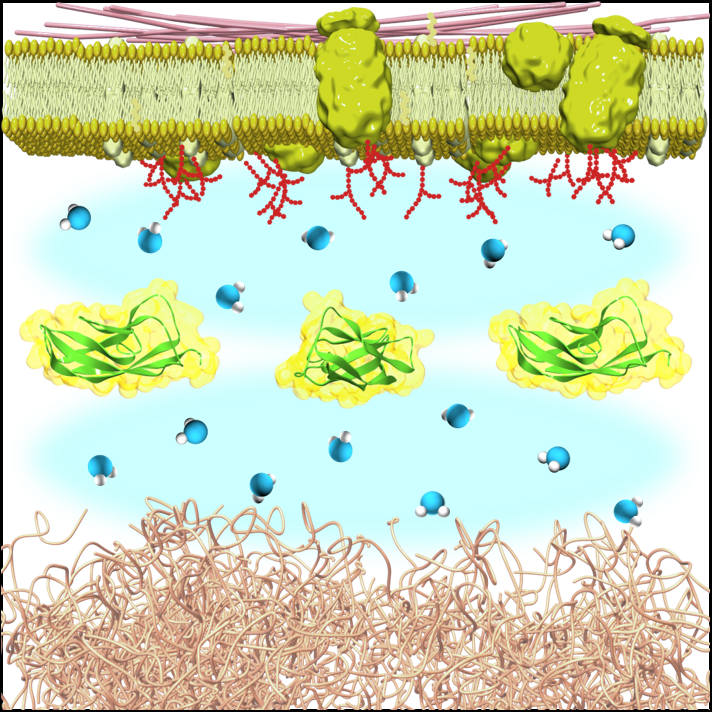 Image of Soft Materials Chemistry