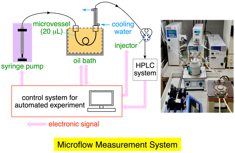 Development of a microflow system for automated analysis of the dynamic stereochemical behavior of organic molecules.