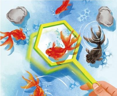 Discovery of Reduction Reactions of Organic Molecules Proceeding Under Pressure - Providing New Design Guidelines for Pressure-Responsive Material Development